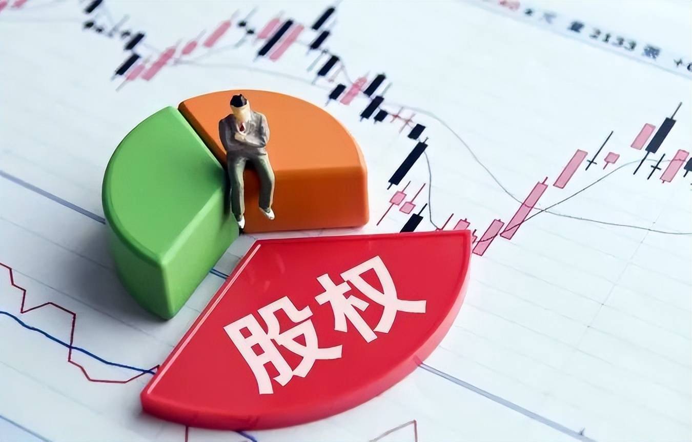 公司股权结构最优化解析和合伙企业架构优劣对比! (图6) 公司股权结构最优化解析和合伙企业架构优劣对比! (图6)