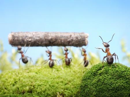 懒蚂蚁效应：一个人躺赢的最好方法，是学会偷懒！(图3)