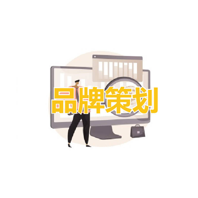 品牌策划方案:品牌策划方案 (图1)